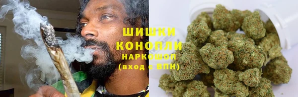 сатива Волоколамск