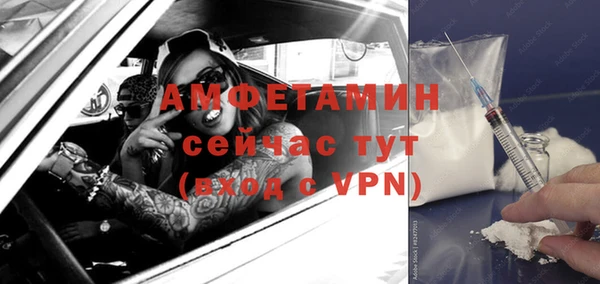 сатива Волоколамск