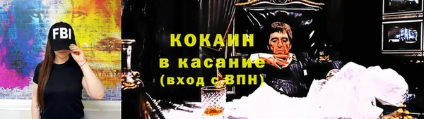 сатива Волоколамск