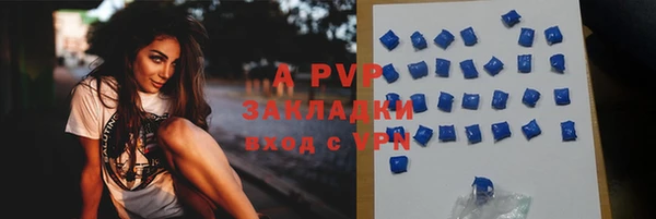 сатива Волоколамск