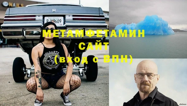 сатива Волоколамск