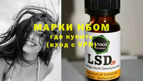 сатива Волоколамск