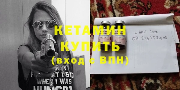 сатива Волоколамск